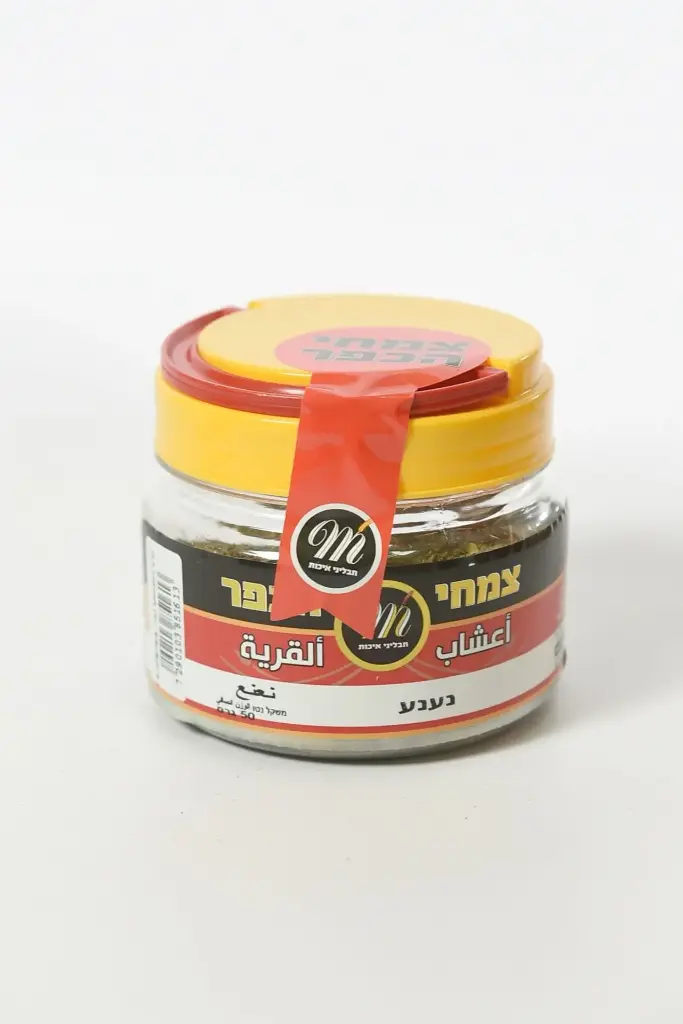 נענע 50 גרם (6 יח')